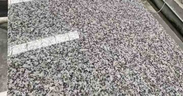 杭州 芙蓉白光面