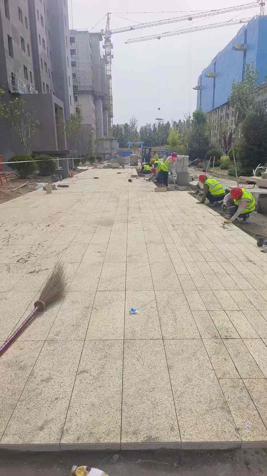 杭州黄金麻荔枝面地铺案例