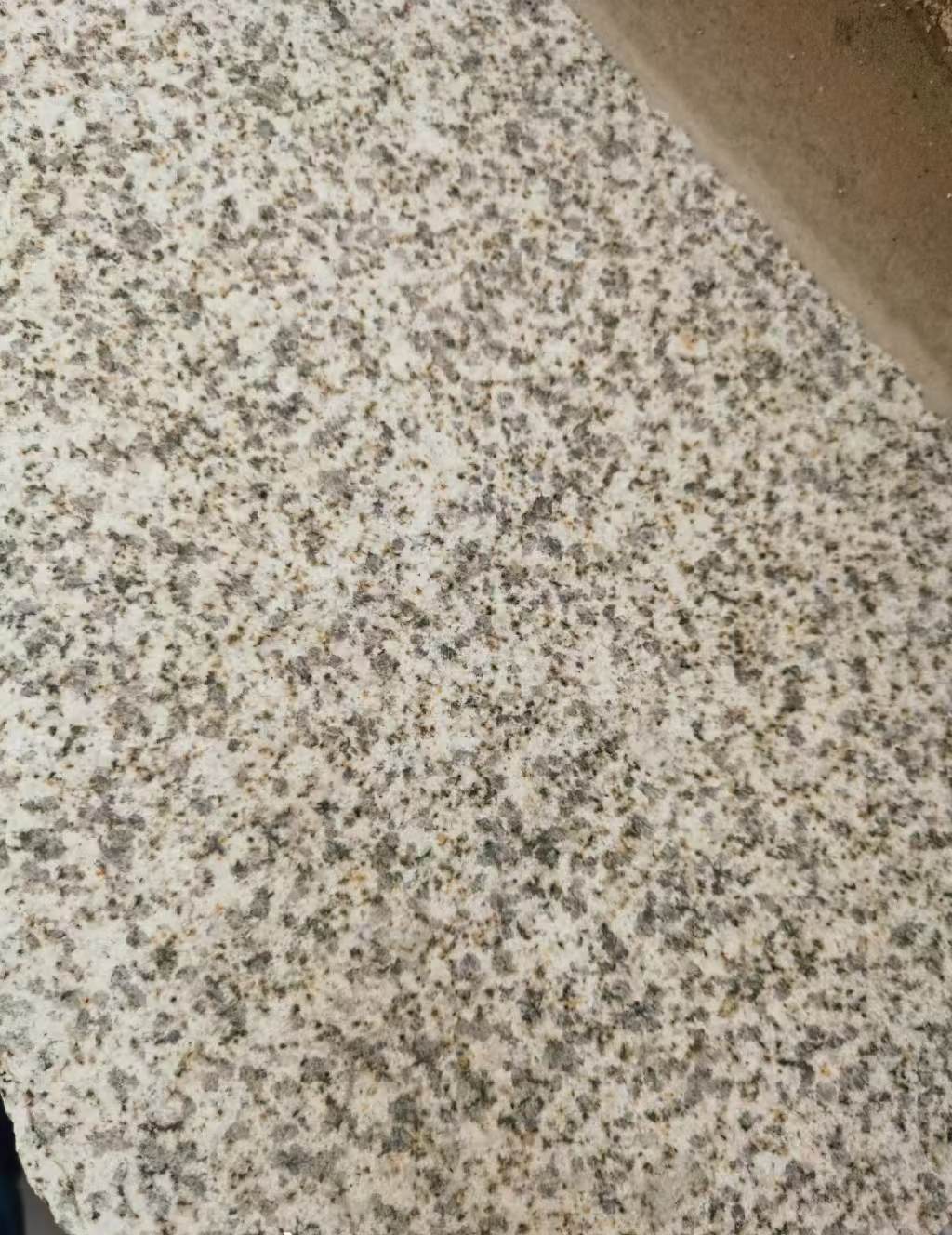 杭州 黄金麻中黄光面